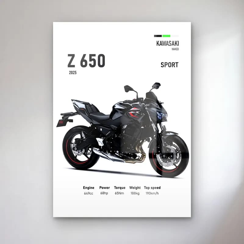 Kawasaki Z 650 Sport 2025 cam tablo — Beyaz zeminde siyah gri Kawasaki Z 650 Sport 2025 ve teknik veriler