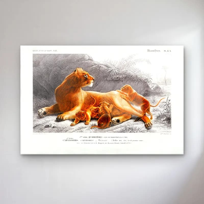 Vintage Aslan No. 10 cam tablo — Vintage Aslan No. 10 — vintage aslan