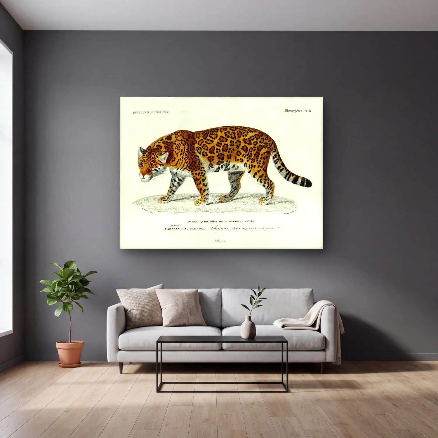 Vintage Leopar – Siyah Beyaz Tonlar cam tablo — gri duvarlı salonda
