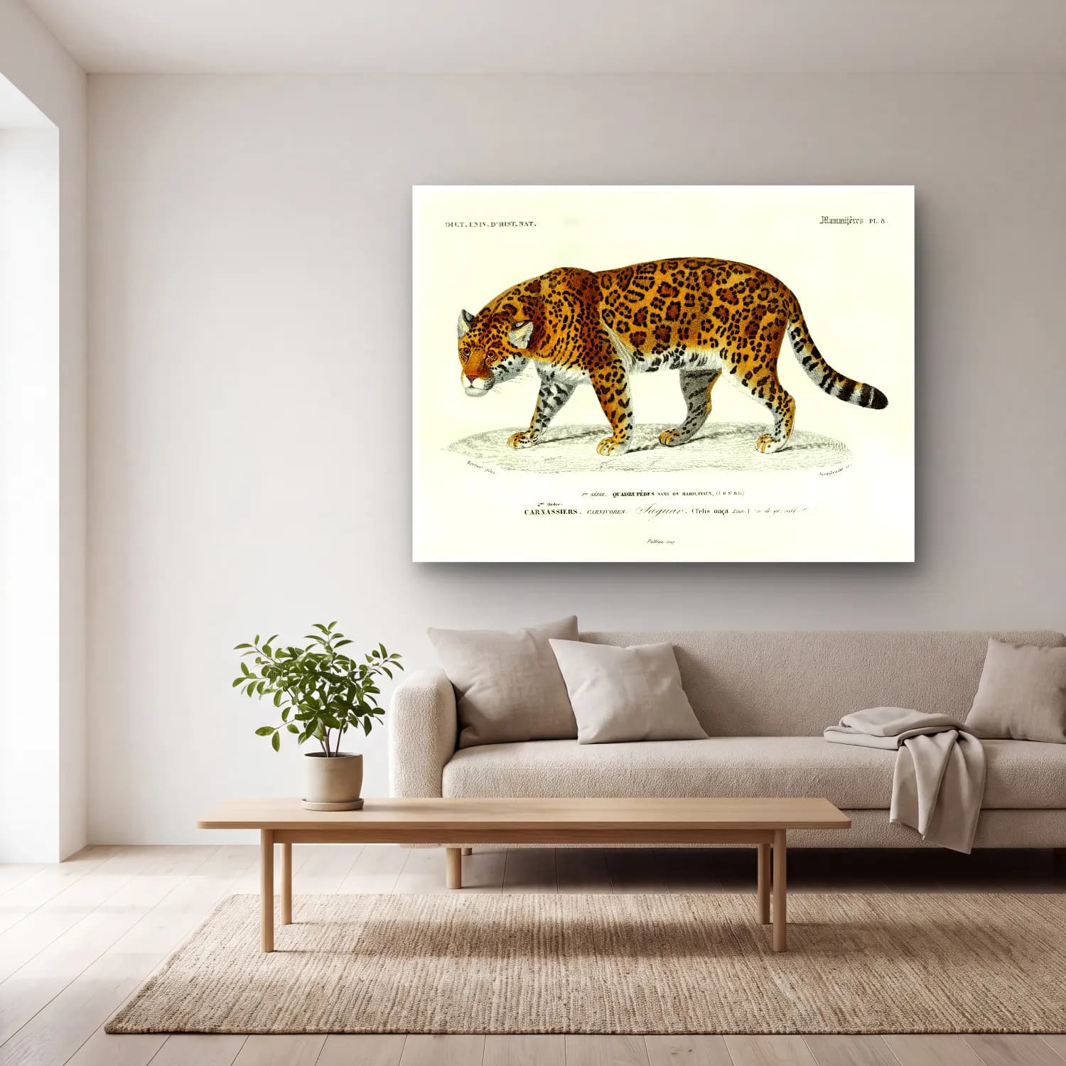 Vintage Leopar – Siyah Beyaz Tonlar cam tablo — açık renk salonda