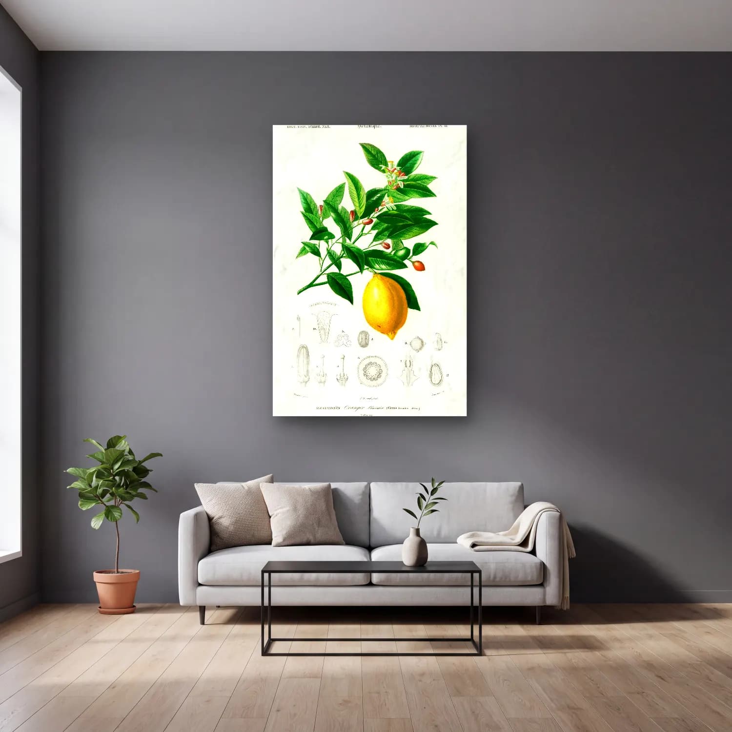 Botanik İllüstrasyon Limon Dalı No. 7 cam tablo — gri duvarlı salonda