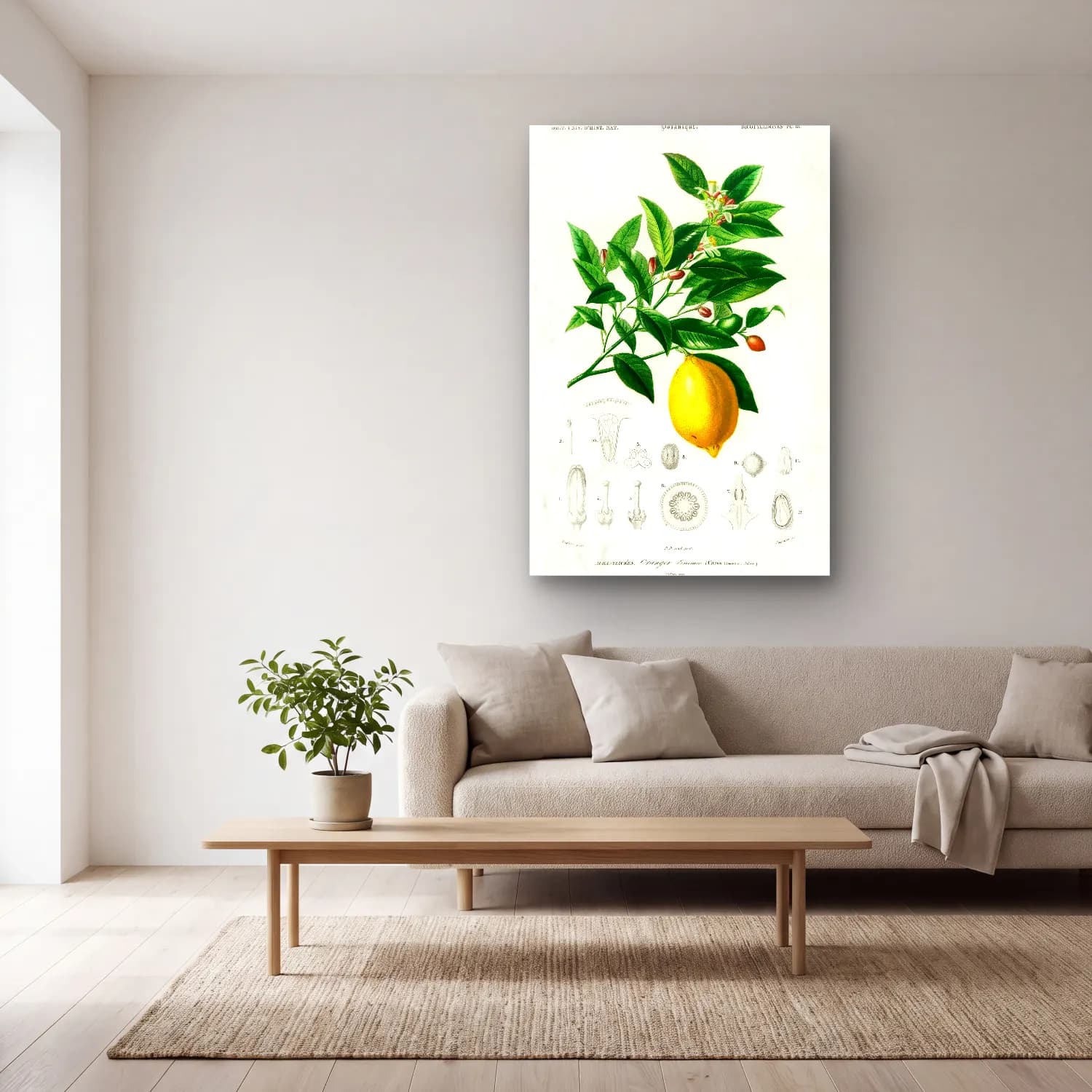 Botanik İllüstrasyon Limon Dalı No. 7 cam tablo — açık renk salonda