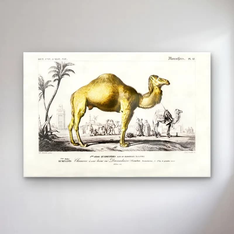 Vintage Dinozor cam tablo — Vintage Dinozor — vintage dinozor