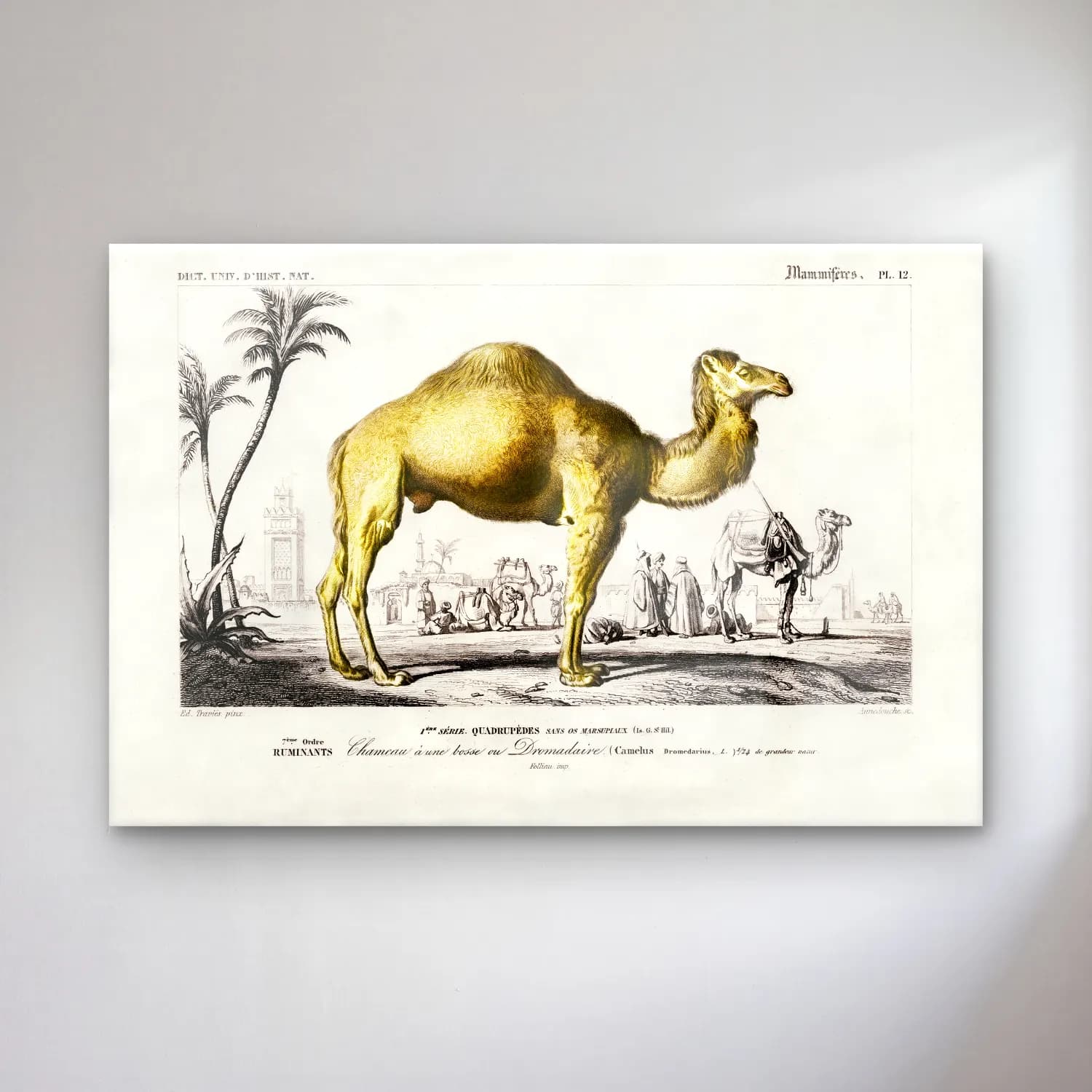 Vintage Dinozor cam tablo — Vintage Dinozor — vintage dinozor