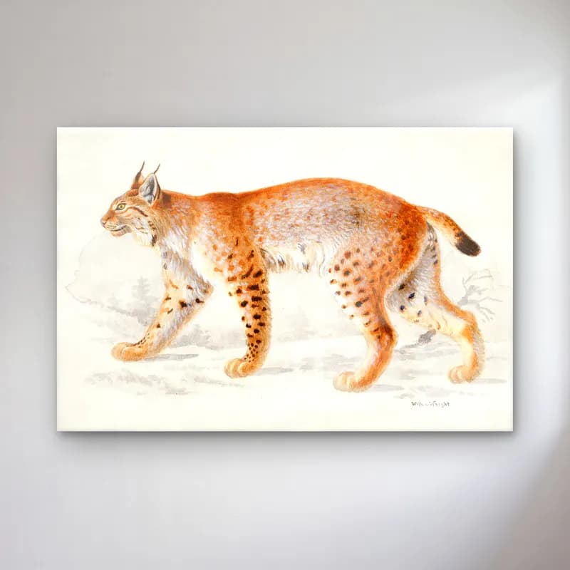 Vintage Kedi No. 20 cam tablo — Vintage Kedi No. 20 — vintage kedi