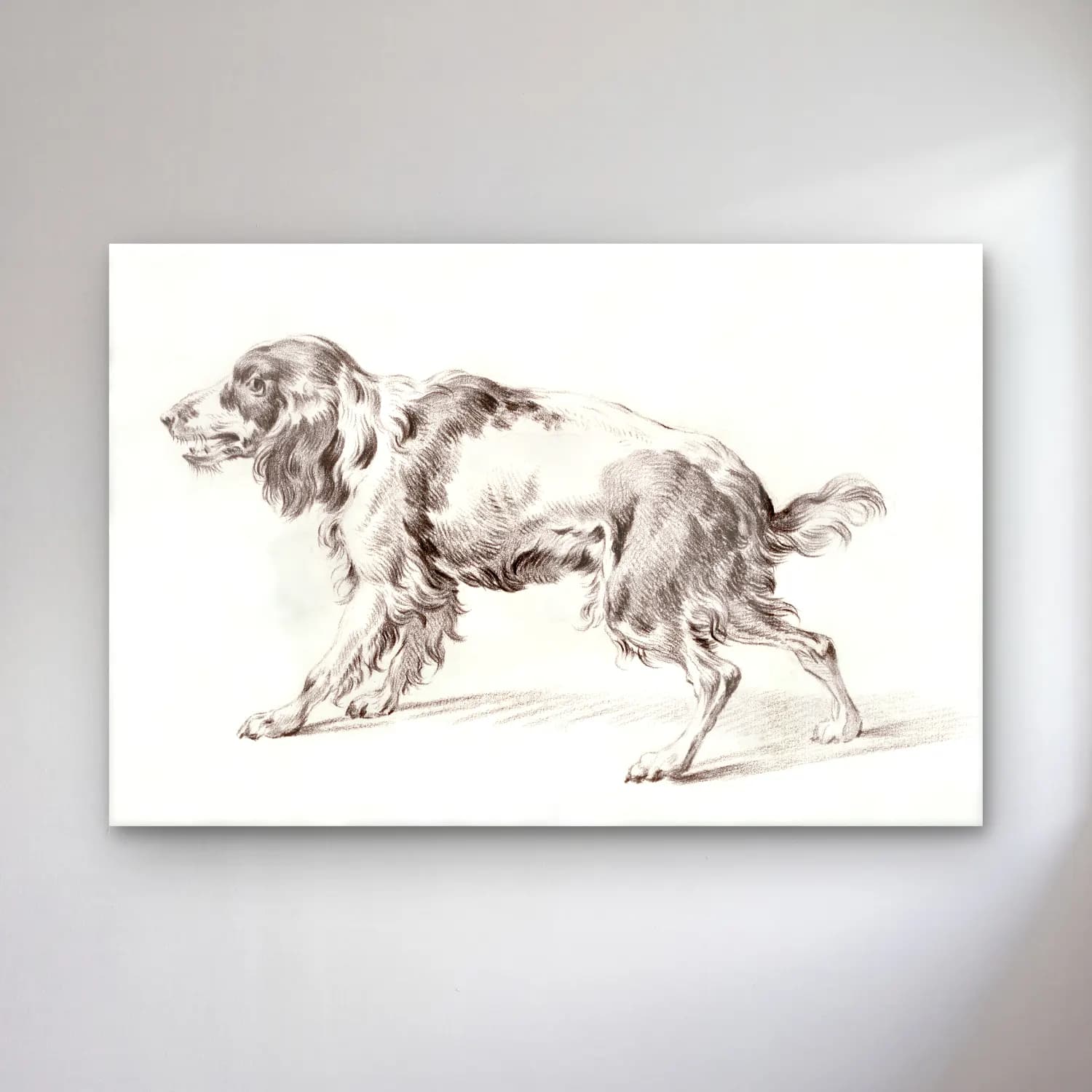 Vintage Köpek No. 15 cam tablo — Vintage Köpek No. 15 — vintage köpek