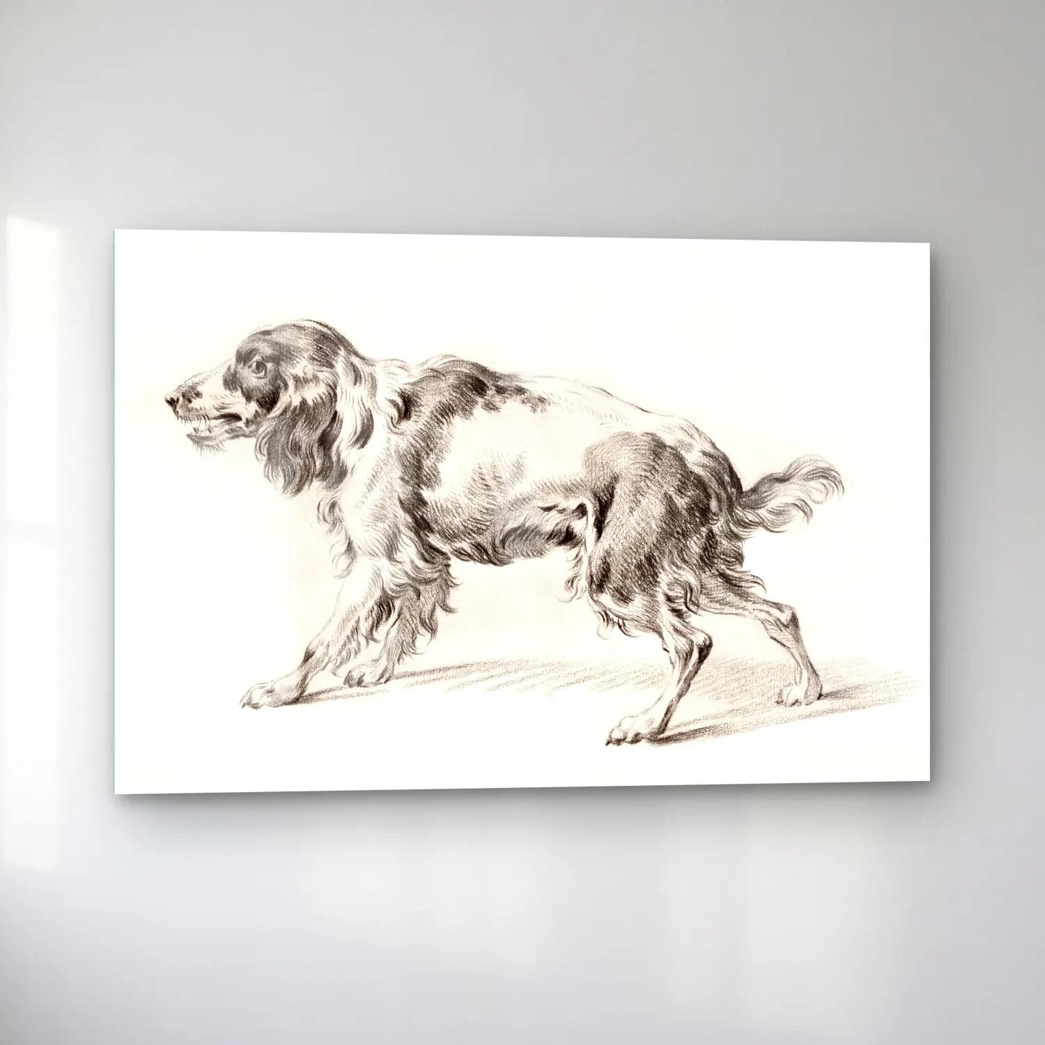 Vintage Köpek No. 15 cam tablo — sol açıdan görünüm