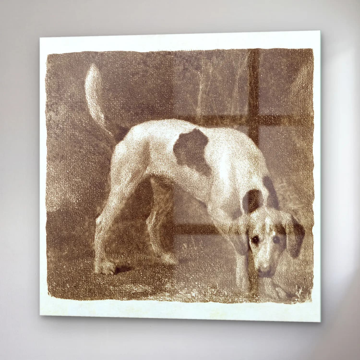Siyah Beyaz Köpek – Siyah Beyaz Tonlar cam tablo — sağ açıdan görünüm