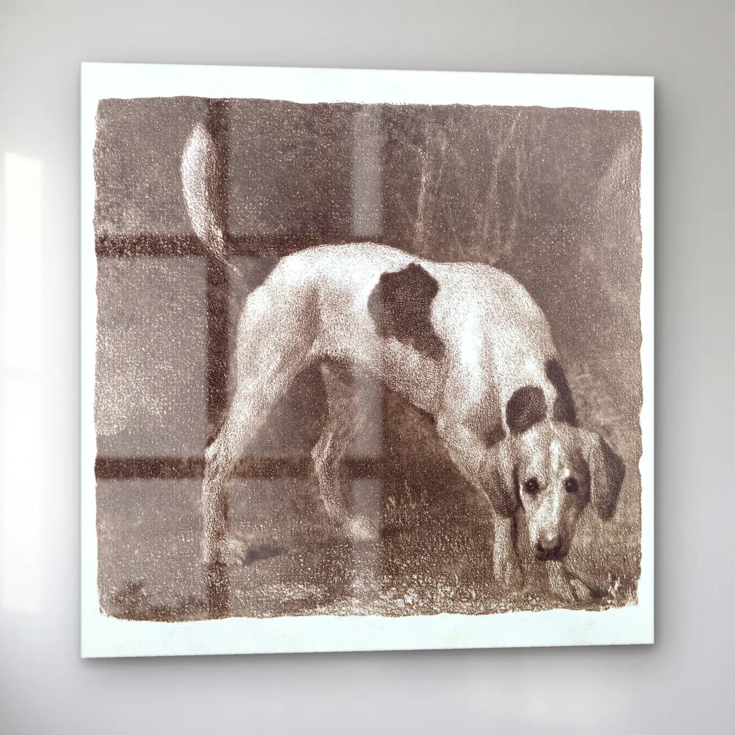 Siyah Beyaz Köpek – Siyah Beyaz Tonlar cam tablo — sol açıdan görünüm