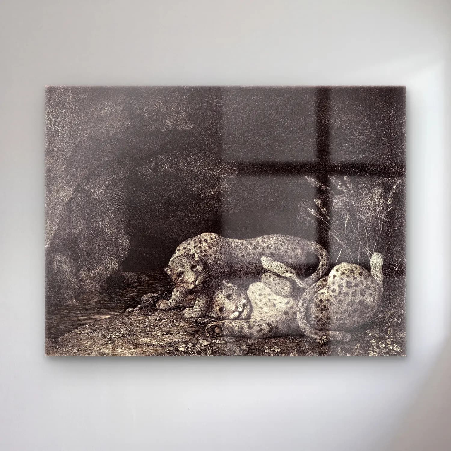 Siyah Beyaz Leopar – Siyah Beyaz Tonlar cam tablo — Siyah Beyaz Leopar – Siyah Beyaz Tonlar — siyah beyaz leopar