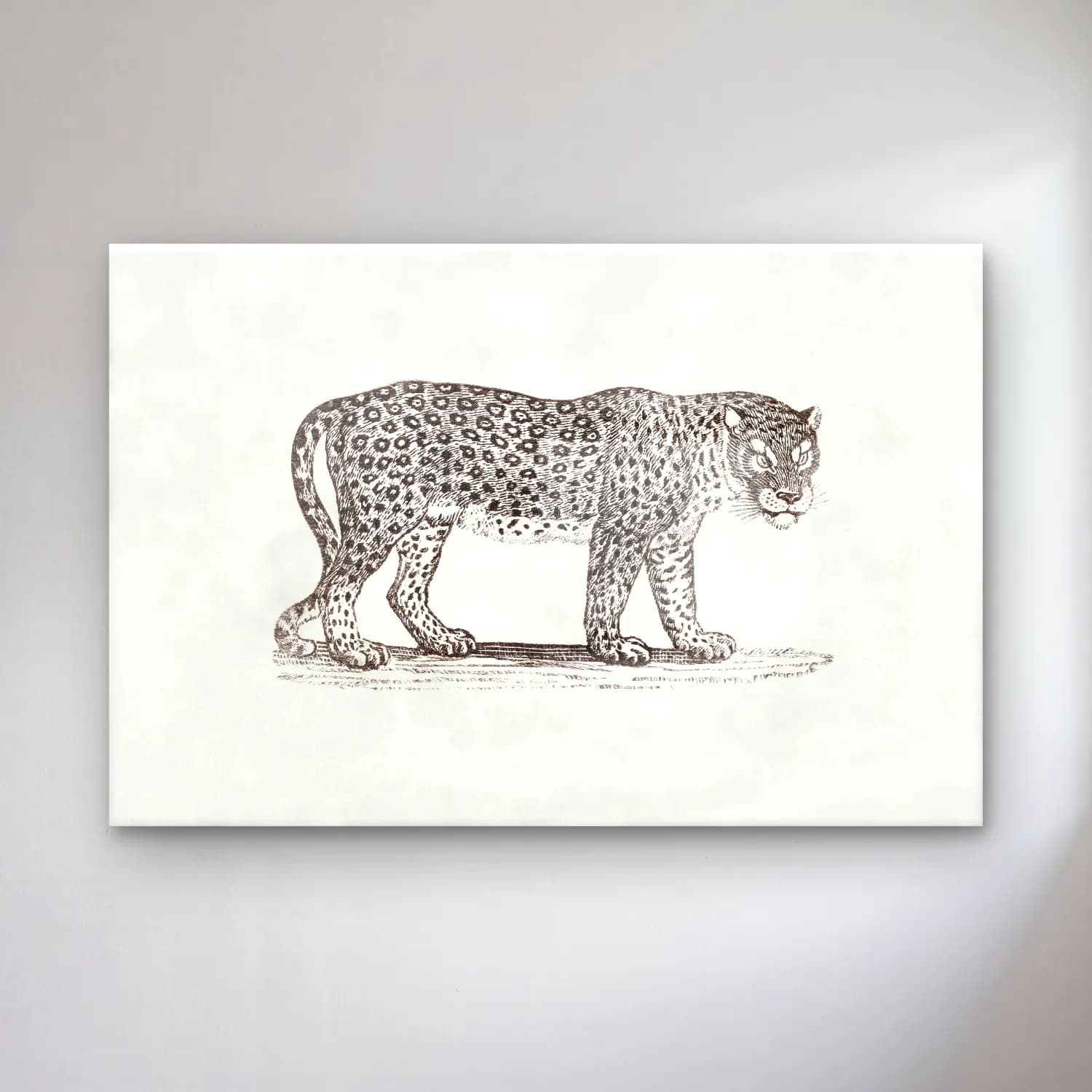 Vintage Leopar No. 5 cam tablo — Vintage Leopar No. 5 — vintage leopar