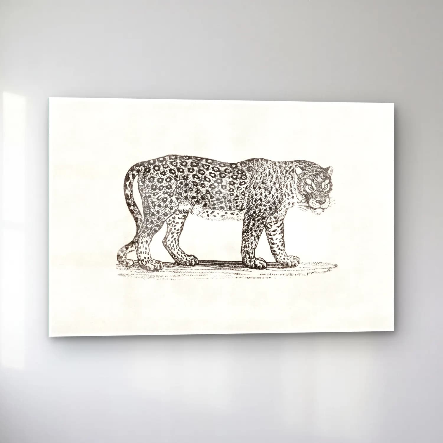 Vintage Leopar No. 5 cam tablo — sol açıdan görünüm