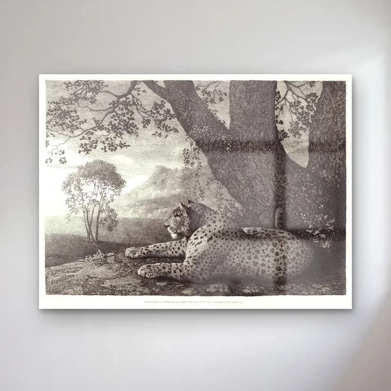 Siyah Beyaz Leopar cam tablo — Siyah Beyaz Leopar — siyah beyaz leopar