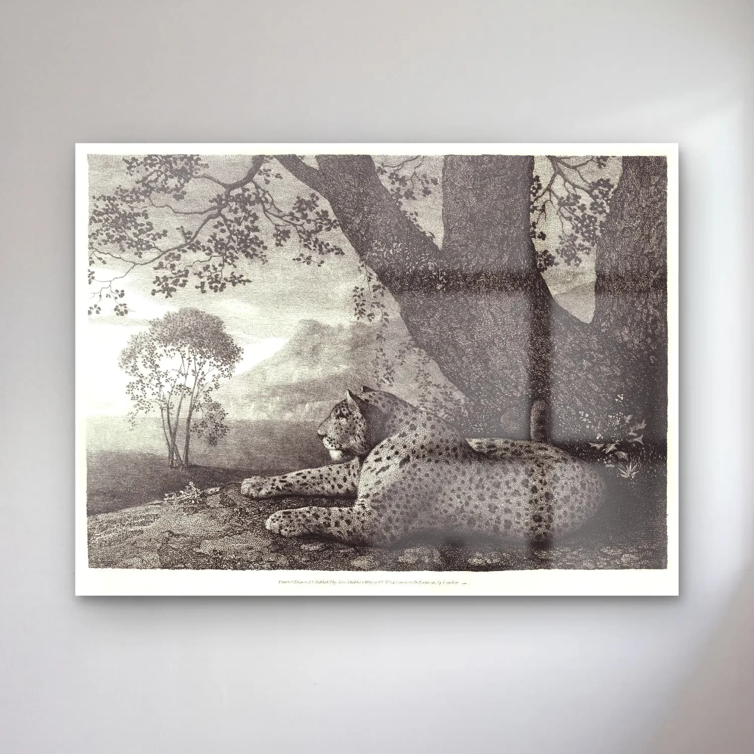 Siyah Beyaz Leopar cam tablo — Siyah Beyaz Leopar — siyah beyaz leopar