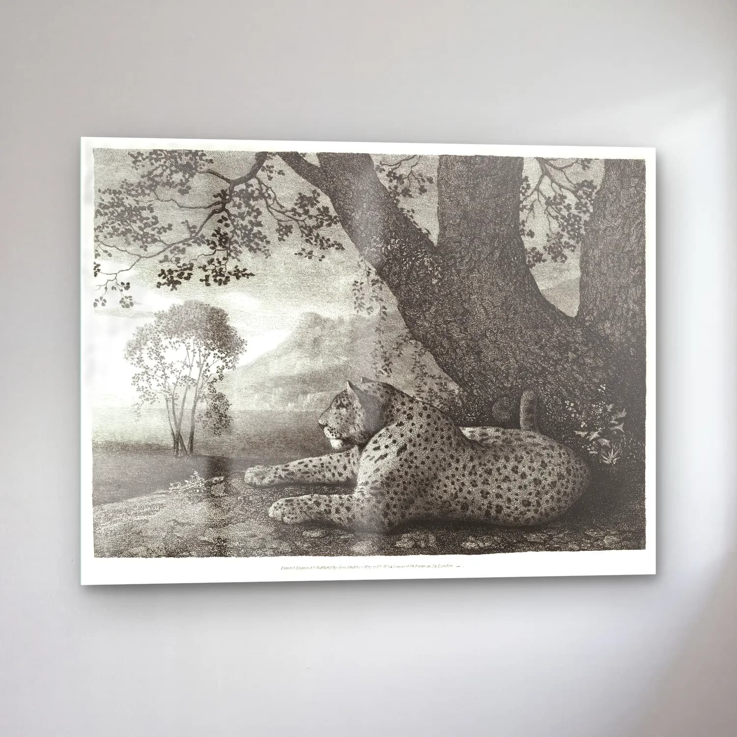 Siyah Beyaz Leopar cam tablo — sol açıdan görünüm