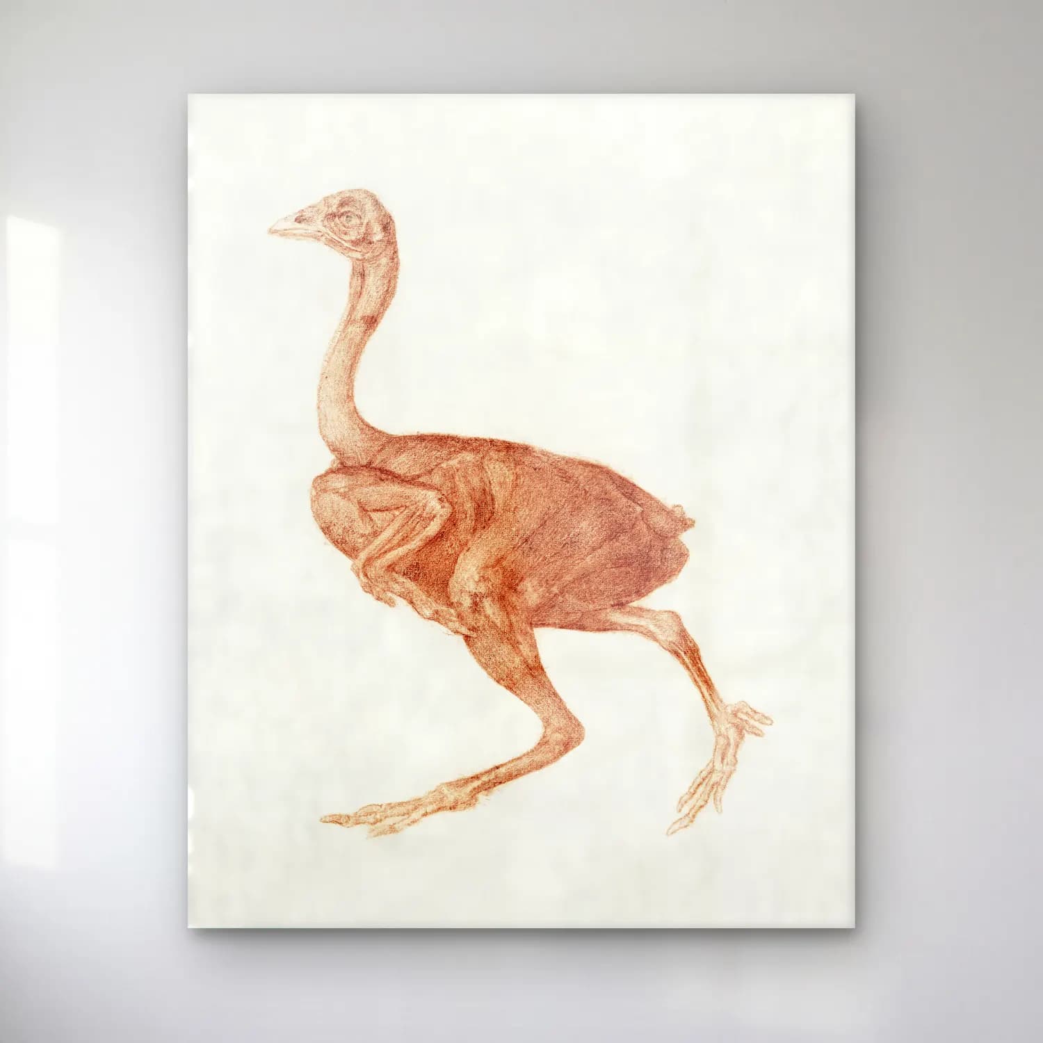 Vintage Flamingo – Siyah Beyaz Tonlar cam tablo — Vintage Flamingo – Siyah Beyaz Tonlar — vintage flamingo