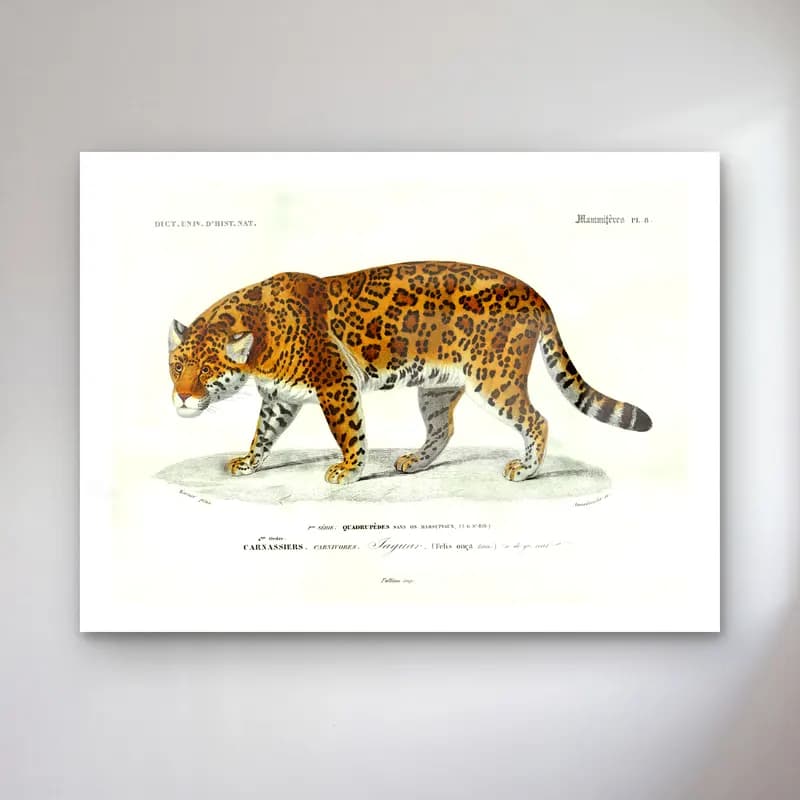 Vintage Leopar No. 6 cam tablo — Vintage Leopar No. 6 — vintage leopar