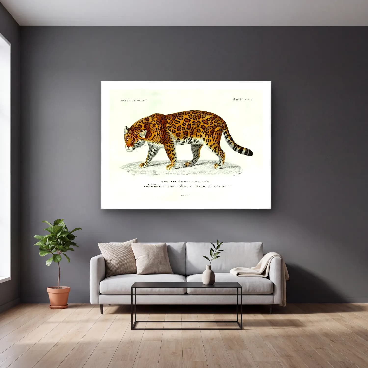 Vintage Leopar No. 6 cam tablo — gri duvarlı salonda