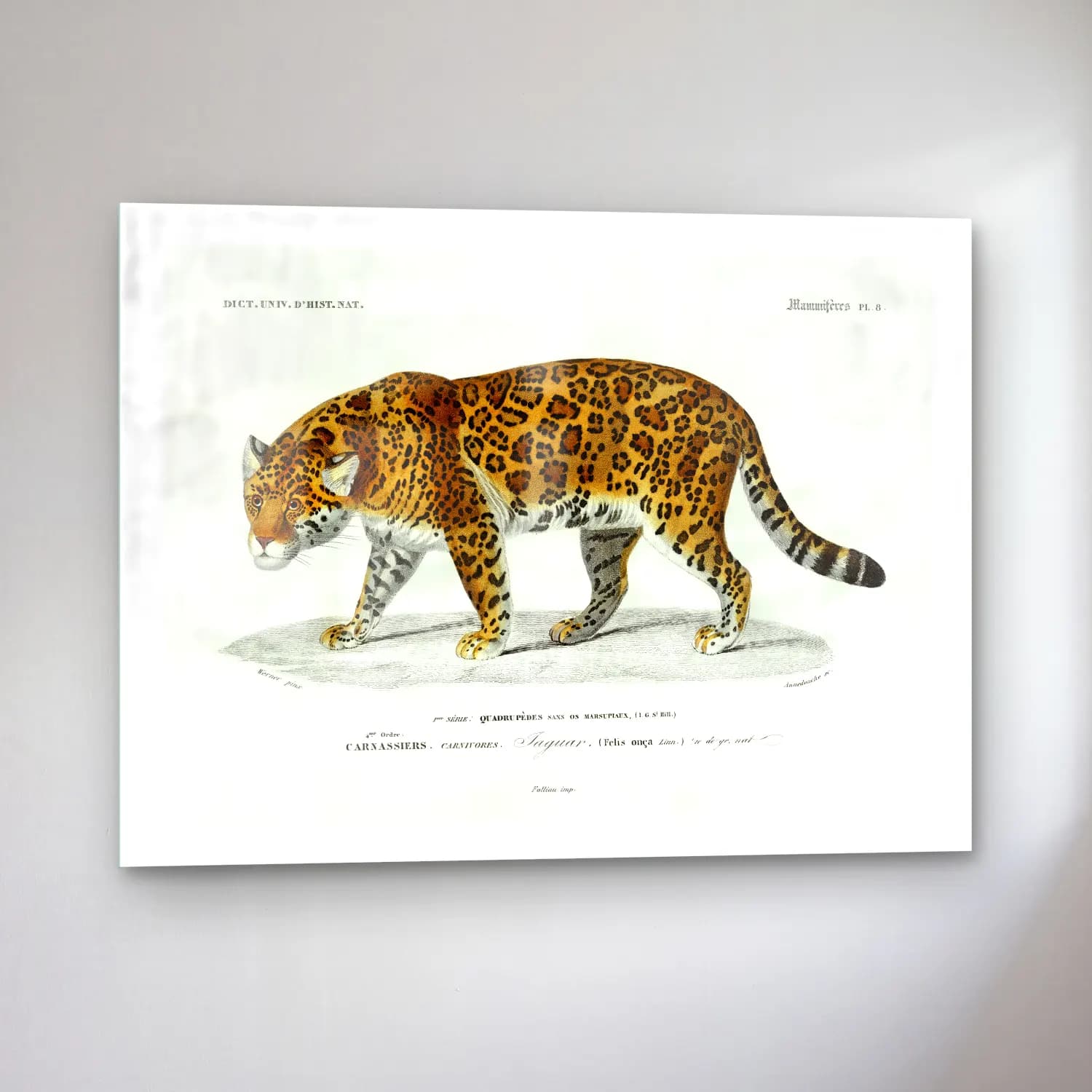 Vintage Leopar No. 6 cam tablo — sol açıdan görünüm