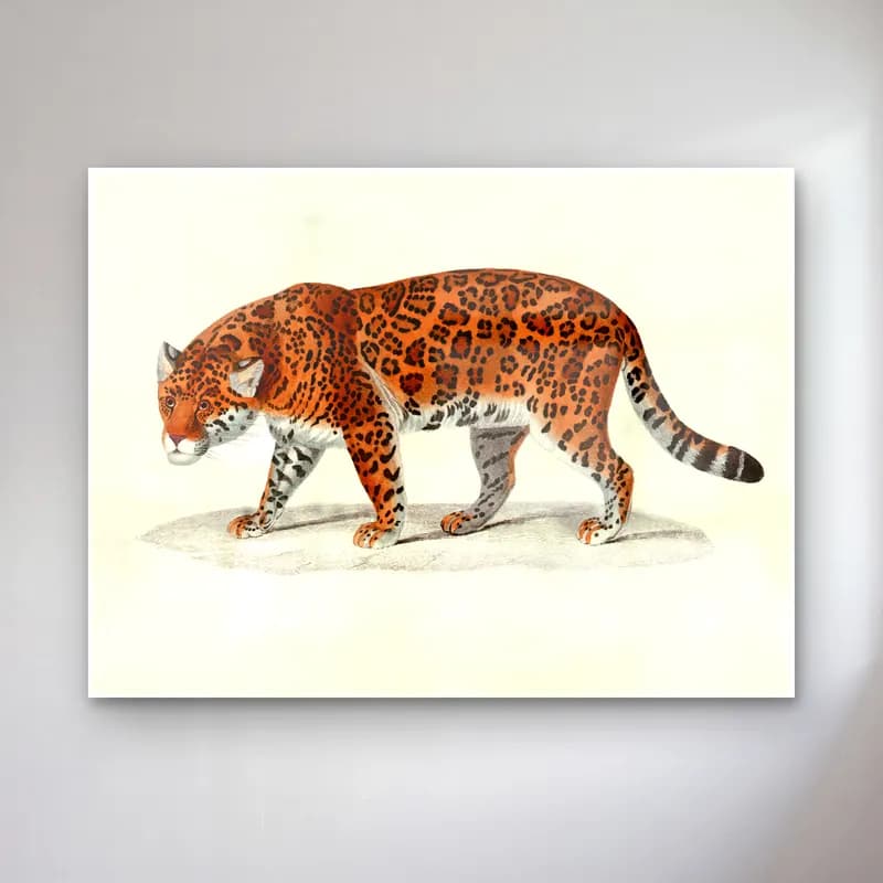 Vintage Leopar – Turuncu Tonlar cam tablo — Vintage Leopar – Turuncu Tonlar — vintage leopar