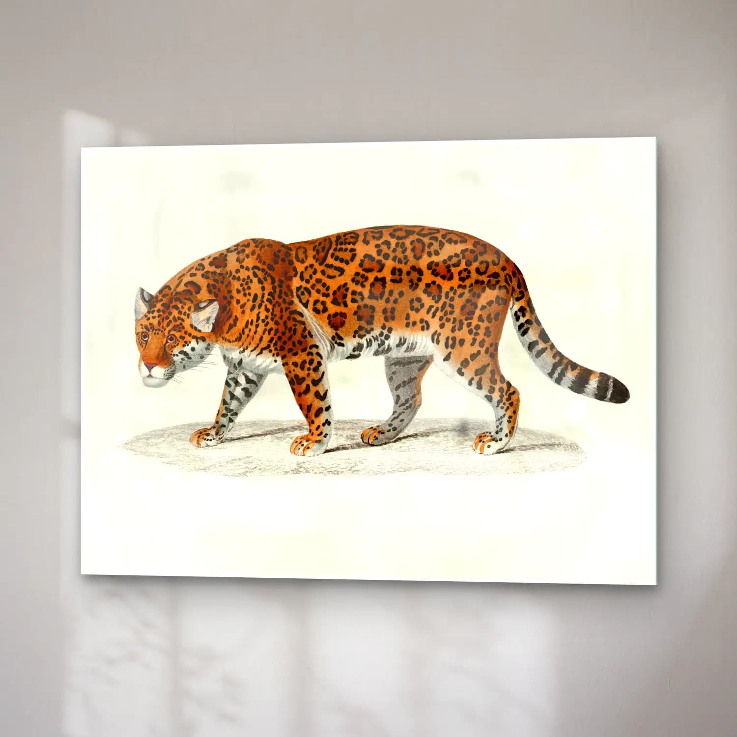 Vintage Leopar – Turuncu Tonlar cam tablo — sağ açıdan görünüm