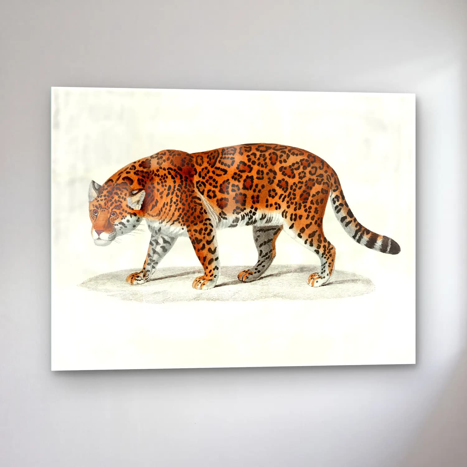 Vintage Leopar – Turuncu Tonlar cam tablo — sol açıdan görünüm