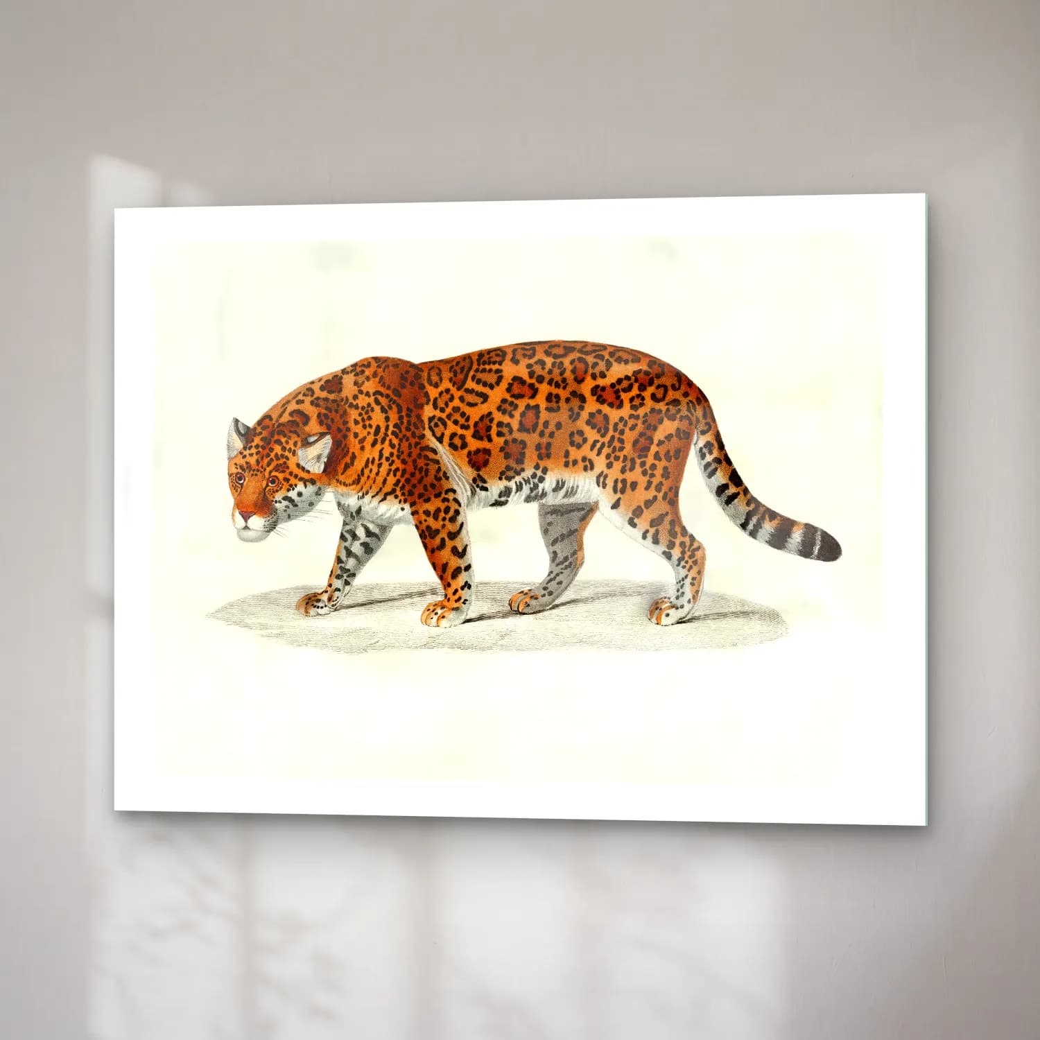 Vintage Leopar No. 8 cam tablo — sağ açıdan görünüm