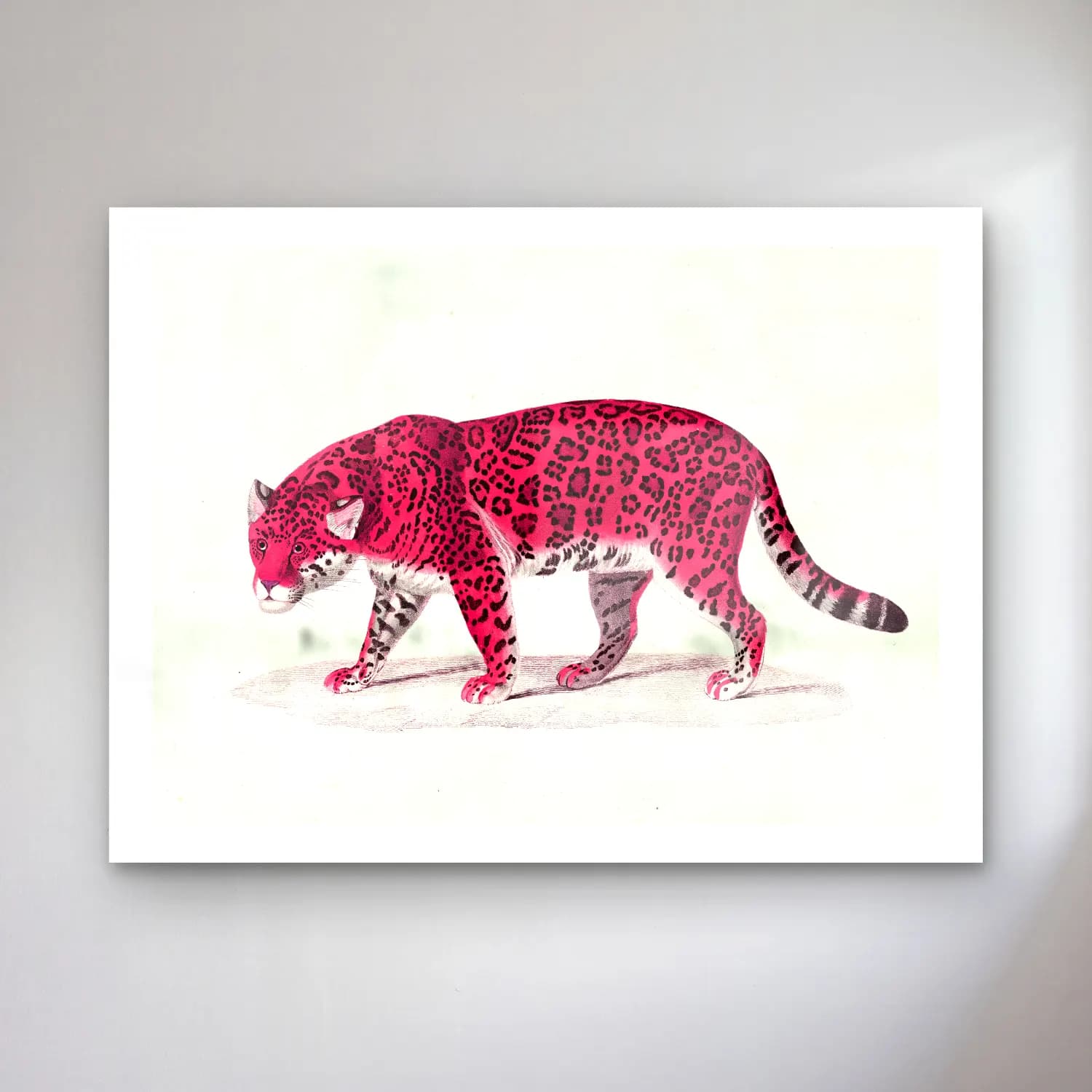Vintage Leopar – Pembe Tonlar cam tablo — Vintage Leopar – Pembe Tonlar — vintage leopar