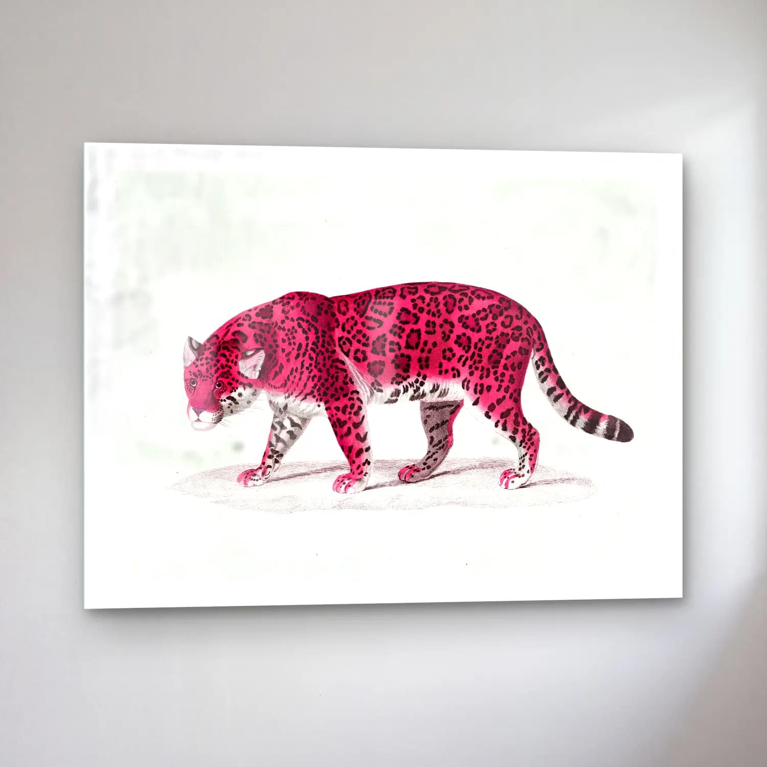Vintage Leopar – Pembe Tonlar cam tablo — sol açıdan görünüm