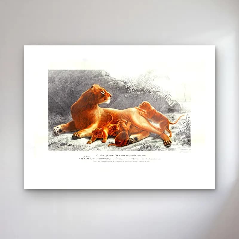 Vintage Aslan No. 11 cam tablo — Vintage Aslan No. 11 — vintage aslan