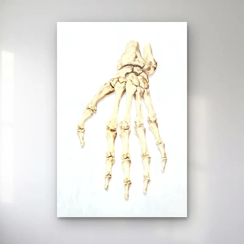 Botanik İllüstrasyon Eller cam tablo — Botanik İllüstrasyon Eller — botanik i̇llüstrasyon eller
