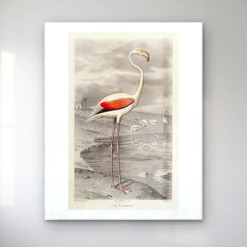 Vintage Flamingo No. 6 cam tablo — Vintage Flamingo No. 6 — vintage flamingo