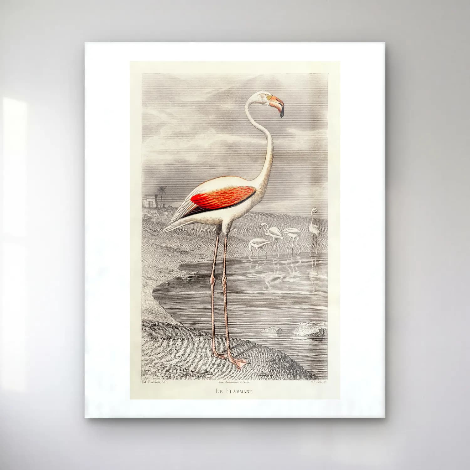 Vintage Flamingo No. 6 cam tablo — Vintage Flamingo No. 6 — vintage flamingo