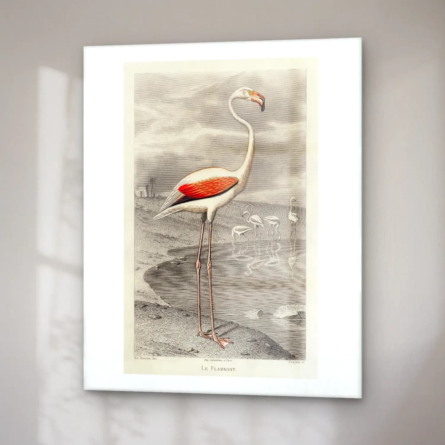 Vintage Flamingo No. 6 cam tablo — sağ açıdan görünüm