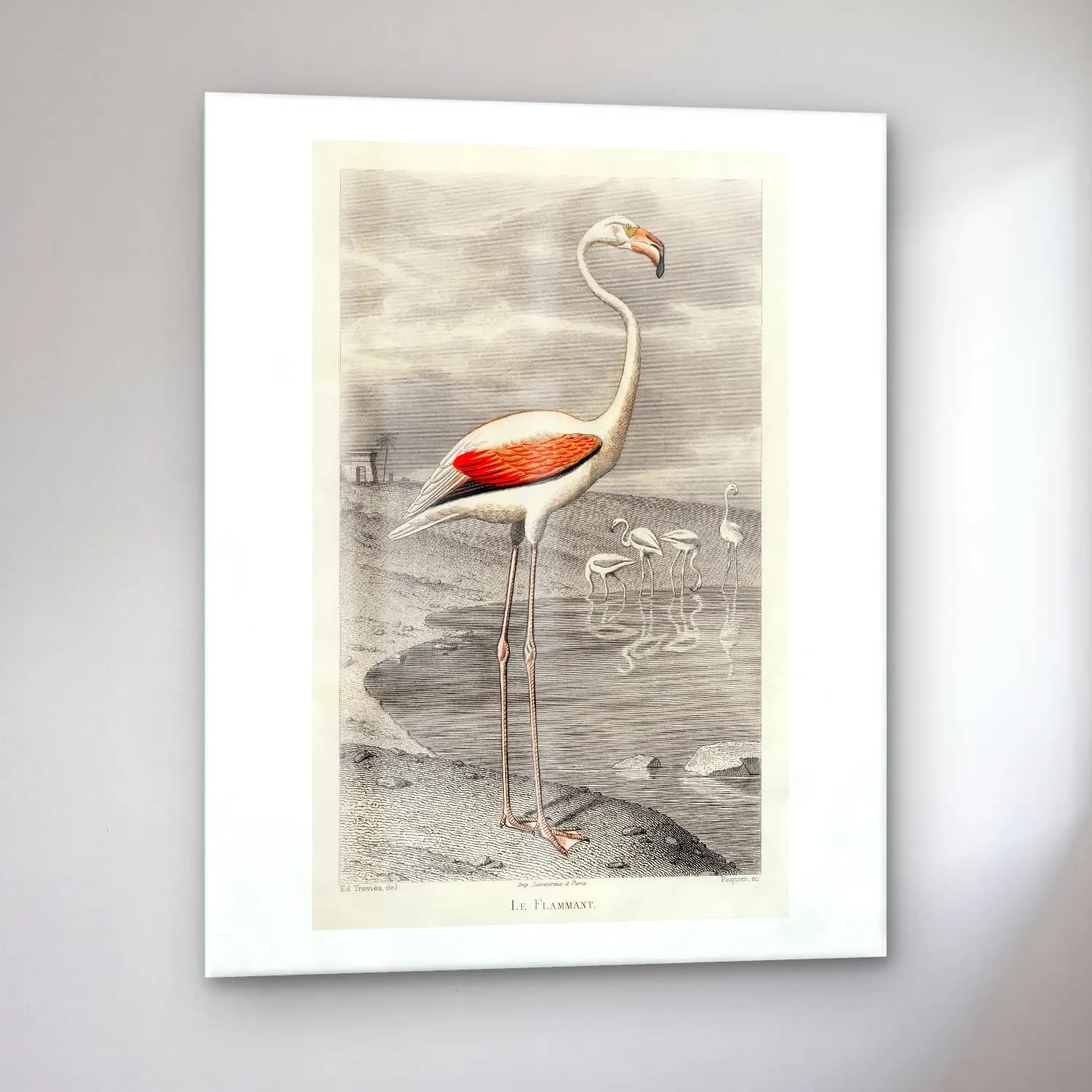 Vintage Flamingo No. 6 cam tablo — sol açıdan görünüm