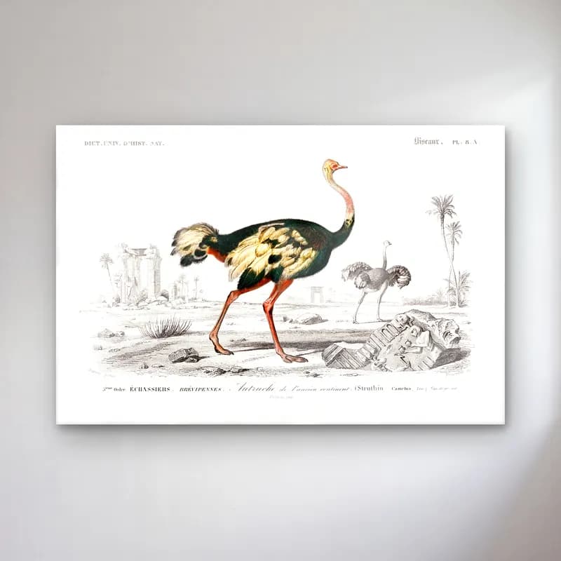Vintage Balıkçıl No. 10 cam tablo — Vintage Balıkçıl No. 10 — vintage balıkçıl