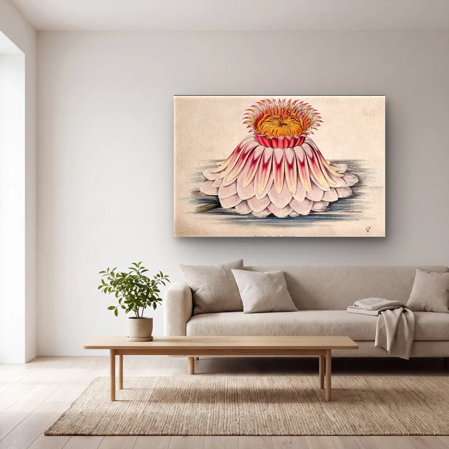Botanik İllüstrasyon Lotus Çiçekleri No. 15 cam tablo — açık renk salonda