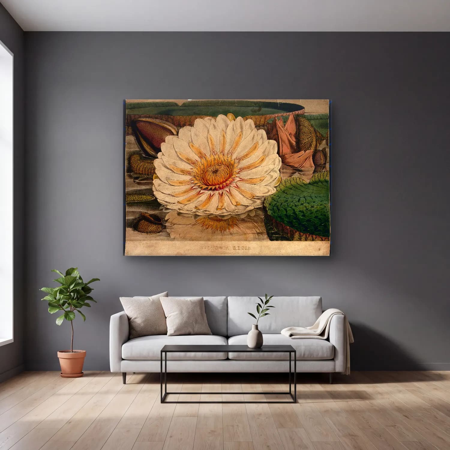 Botanik İllüstrasyon Lotus Çiçekleri No. 16 cam tablo — gri duvarlı salonda