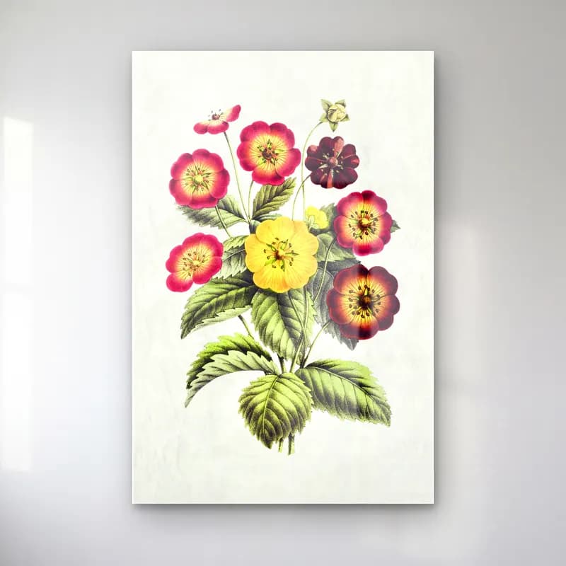 Botanik İllüstrasyon Çiçek Deseni No. 90 cam tablo — Botanik İllüstrasyon Çiçek Deseni No. 90 — botanik i̇llüstrasyon çiçek deseni