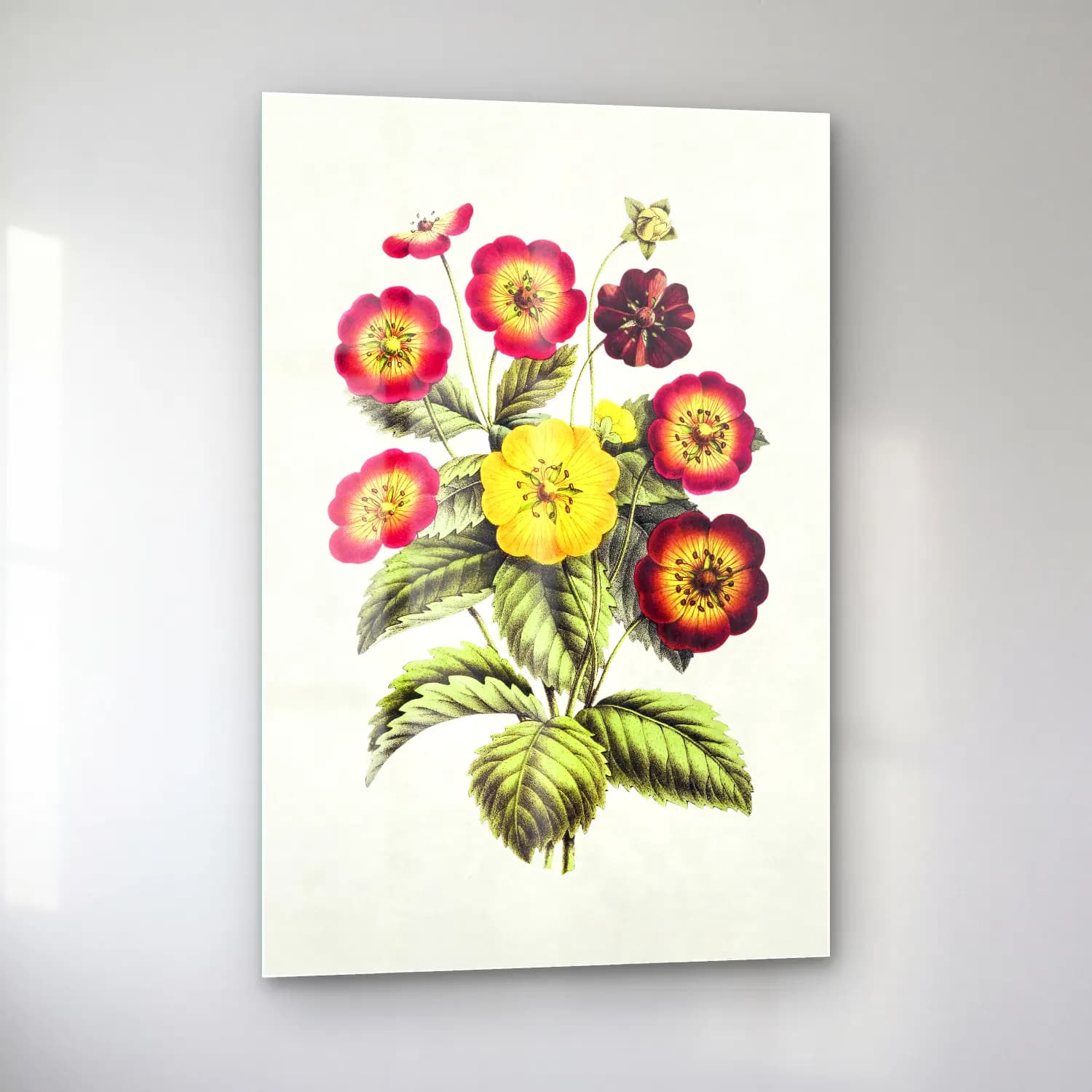 Botanik İllüstrasyon Çiçek Deseni No. 90 cam tablo — sol açıdan görünüm