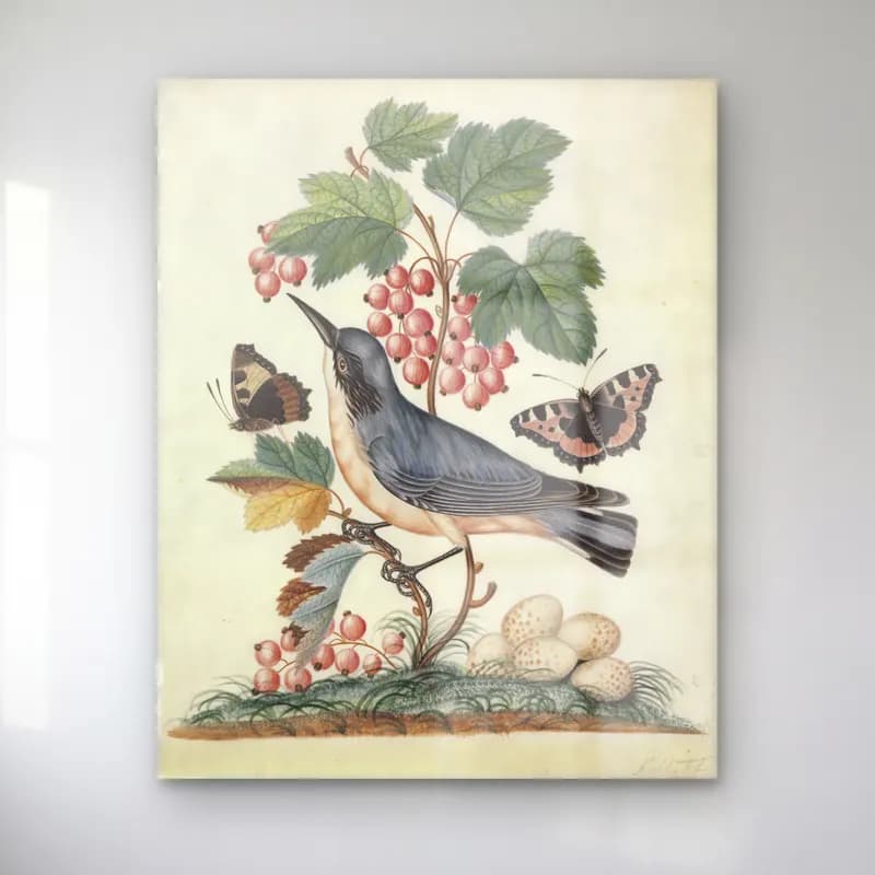 Botanik İllüstrasyon Daldaki Kuş – Mavi Tonlar cam tablo — Botanik İllüstrasyon Daldaki Kuş – Mavi Tonlar — botanik i̇llüstrasyon daldaki kuş