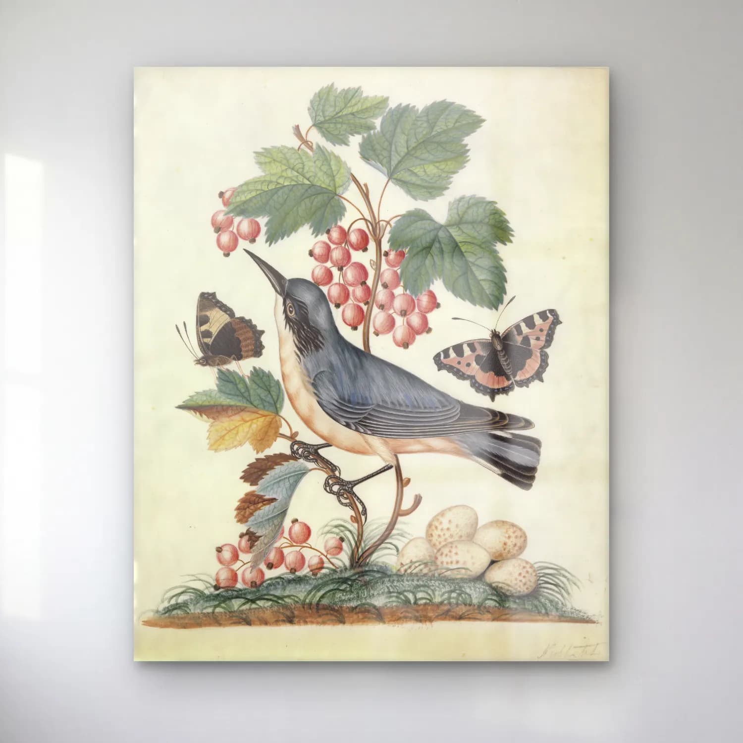 Botanik İllüstrasyon Daldaki Kuş – Mavi Tonlar cam tablo — Botanik İllüstrasyon Daldaki Kuş – Mavi Tonlar — botanik i̇llüstrasyon daldaki kuş