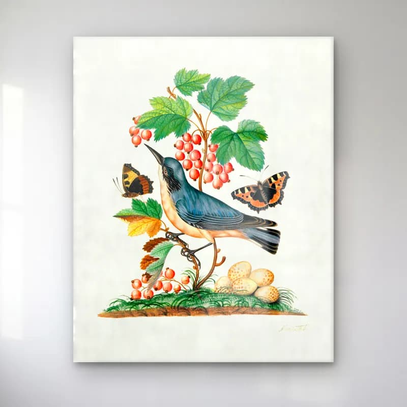 Botanik İllüstrasyon Daldaki Kuş No. 7 cam tablo — Botanik İllüstrasyon Daldaki Kuş No. 7 — botanik i̇llüstrasyon daldaki kuş