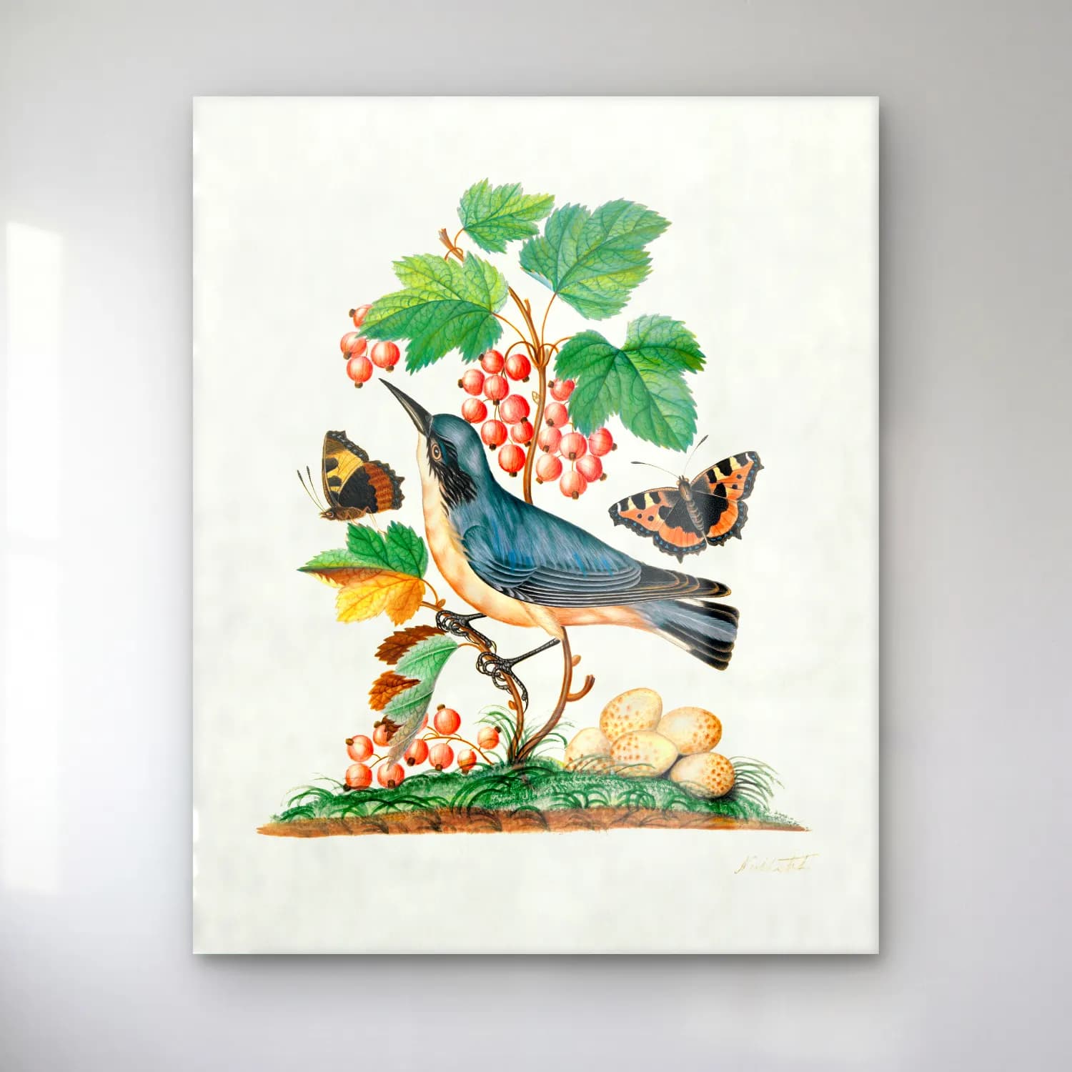Botanik İllüstrasyon Daldaki Kuş No. 7 cam tablo — Botanik İllüstrasyon Daldaki Kuş No. 7 — botanik i̇llüstrasyon daldaki kuş
