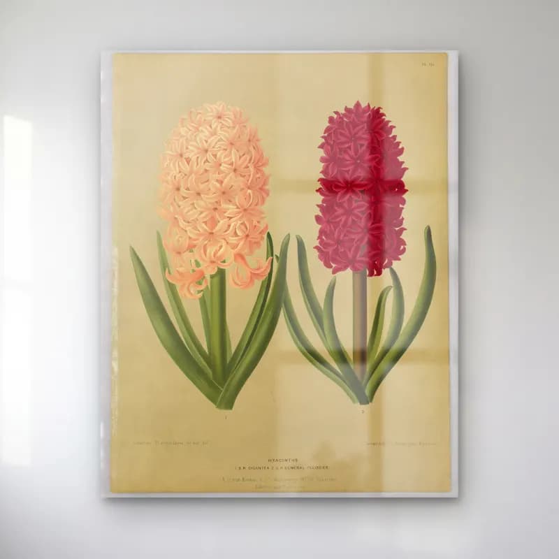 Botanik İllüstrasyon Çiçek Deseni No. 132 cam tablo — Botanik İllüstrasyon Çiçek Deseni No. 132 — botanik i̇llüstrasyon çiçek deseni