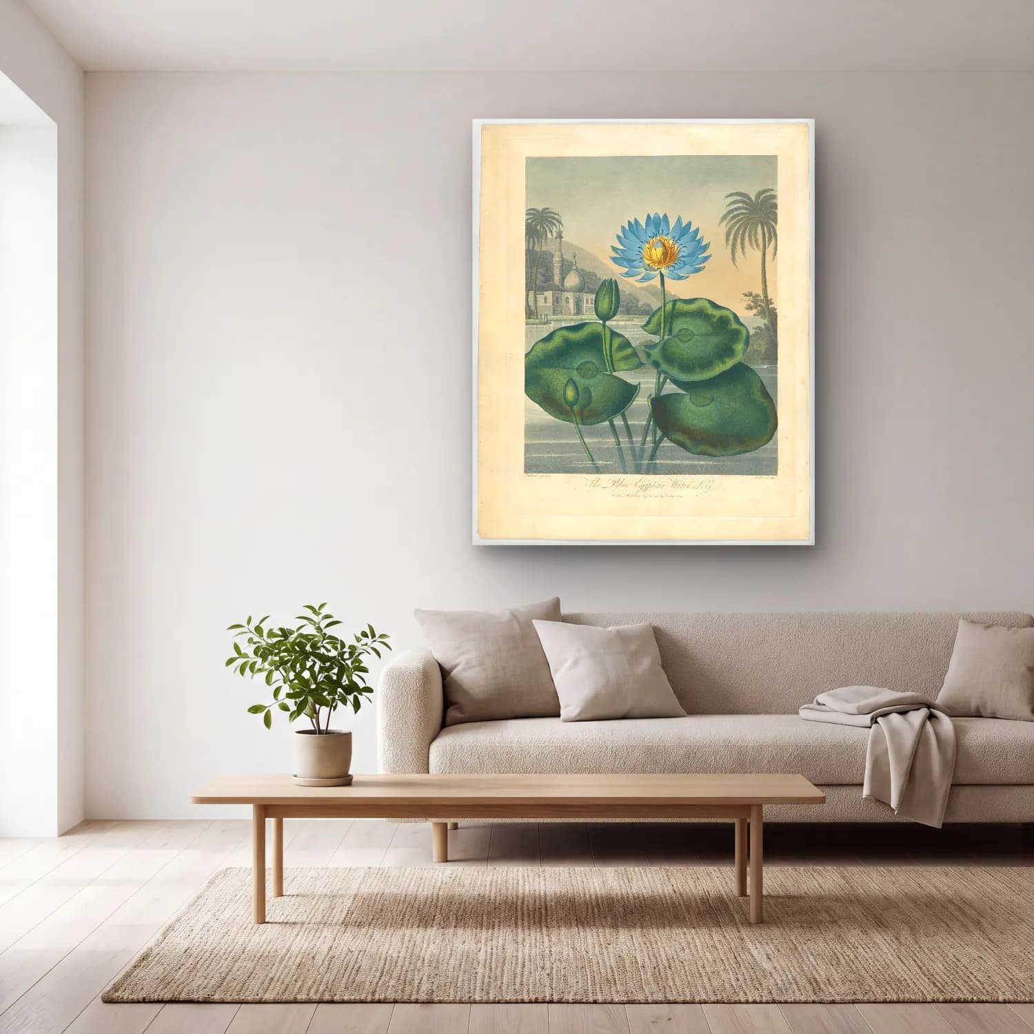 Botanik İllüstrasyon Lotus Çiçekleri No. 22 cam tablo — açık renk salonda