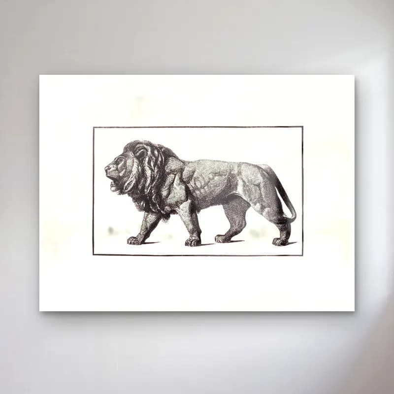 Vintage Aslan No. 12 cam tablo — Vintage Aslan No. 12 — vintage aslan