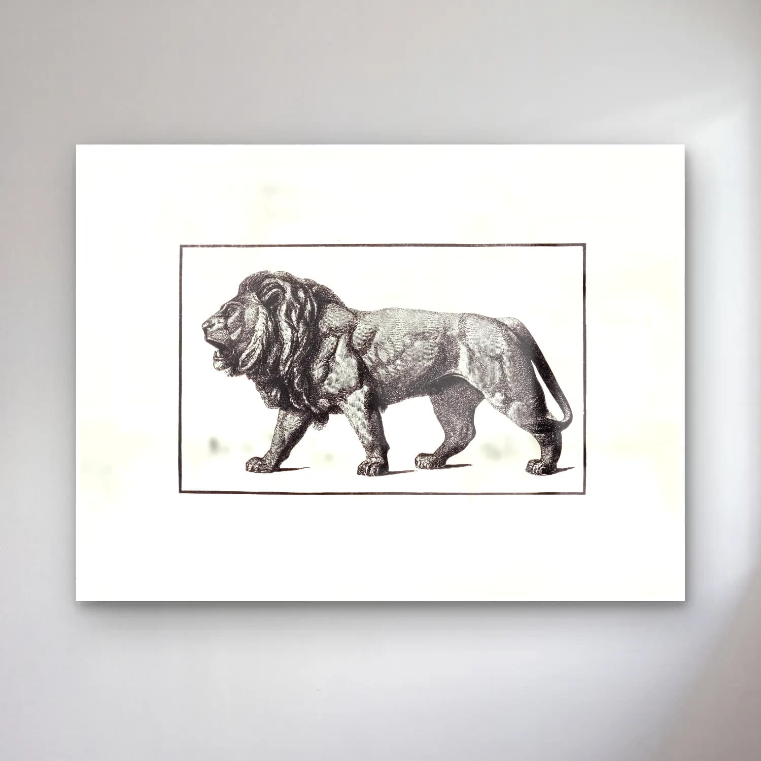 Vintage Aslan No. 12 cam tablo — Vintage Aslan No. 12 — vintage aslan