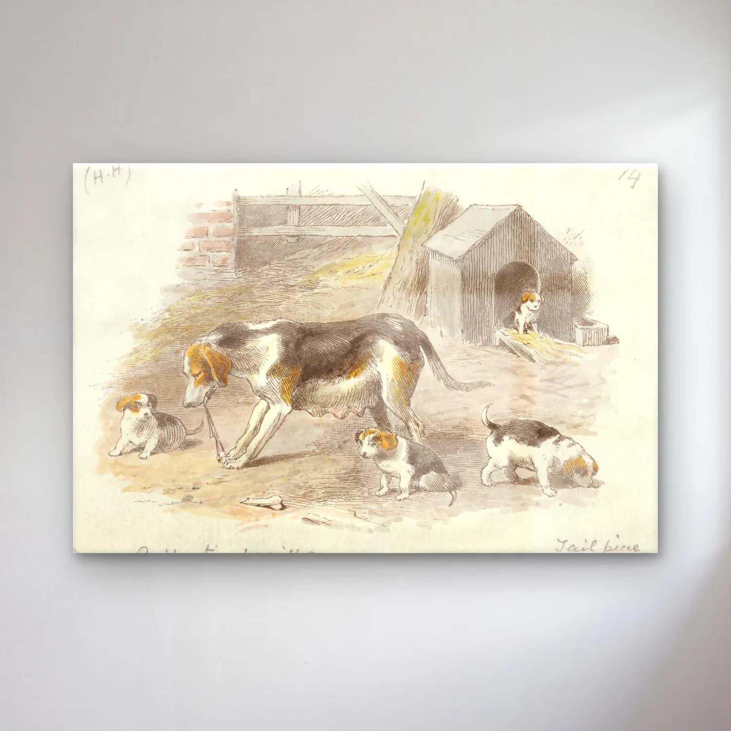Vintage Köpek No. 17 cam tablo — Vintage Köpek No. 17 — vintage köpek