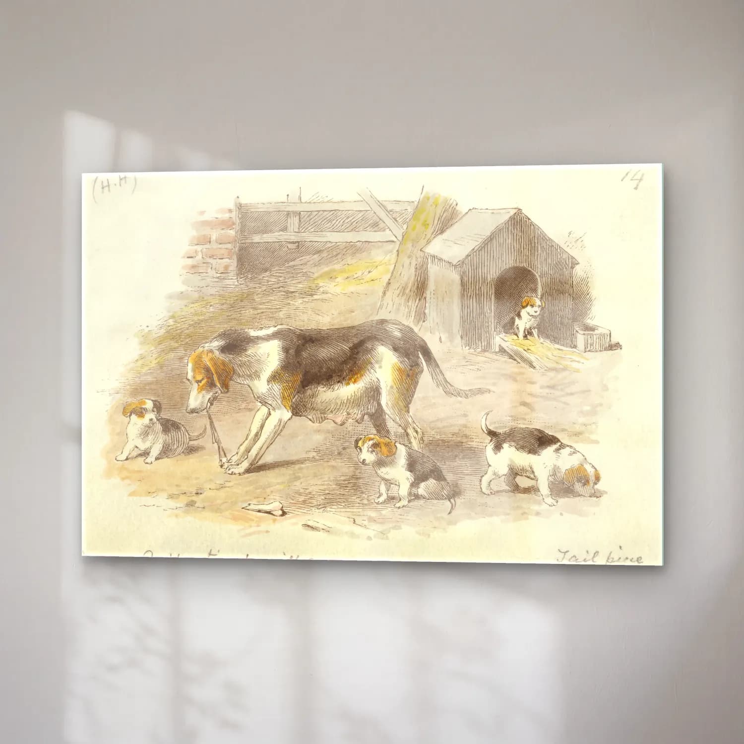 Vintage Köpek No. 17 cam tablo — sağ açıdan görünüm